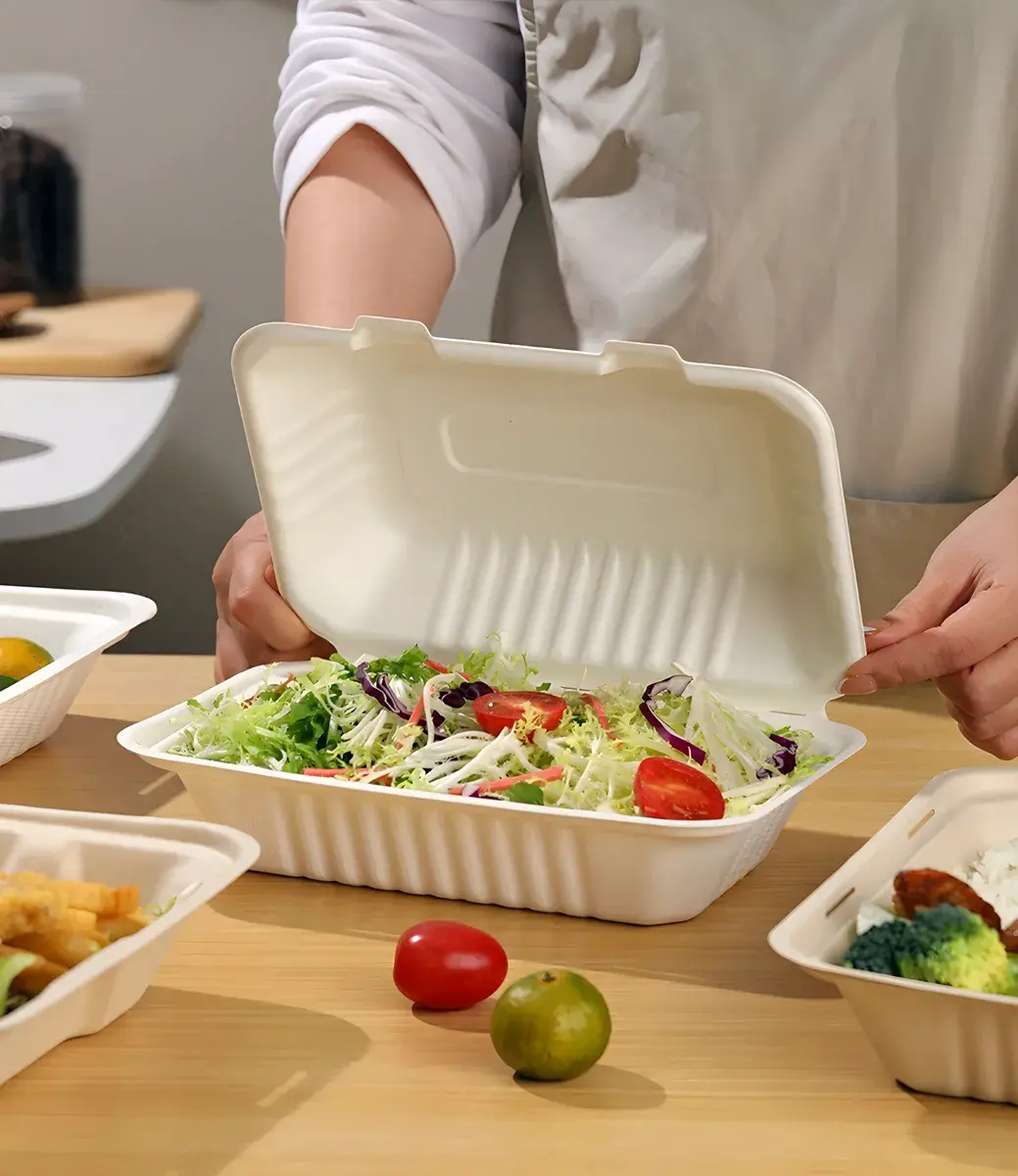 Eco Friendly Compostable Sugarcane Bagasse Rectangular Takeaway Containers Food Packaging Wholesale Exporter